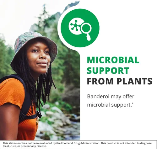 Vista 3 de NutraMedix Suplemento diario de apoyo inmunológico, suplementos herbales Banderol para el apoyo del sistema inmunológico, tintura vegana, gotas