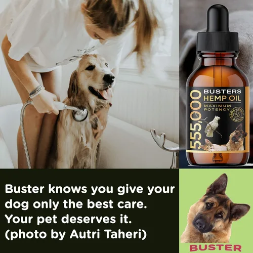 Vista 2 de Buster's - Aceite de cáñamo orgánico 530,000, paquete de 4 meses, suministro para perros y gatos, fabricado en Estados Unidos, Omega Rich 3, 6 y 9