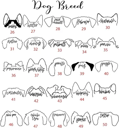 Vista 4 de IZI POD Sudadera personalizada de raza de perro, sudadera con orejas de perro con nombre, sudadera con capucha para perro y papá