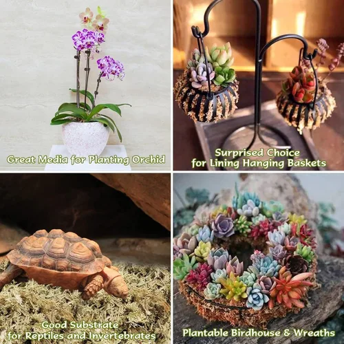 Vista 5 de Halatool Musgo de esfagnum de 3.6 onzas para plantas, musgo de orquídea
