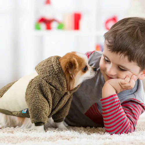 Vista 6 de Ropa mullida para perros pequeños, con capucha, abrigo térmico, ropa para cachorros, machos, hembras, chaqueta para perro, traje de suéter (S)