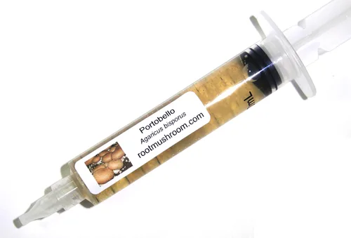 Vista 15 de Root Mushroom Farm - Cultivo líquido de hongos/cabeza de oso (Hericium americanum)