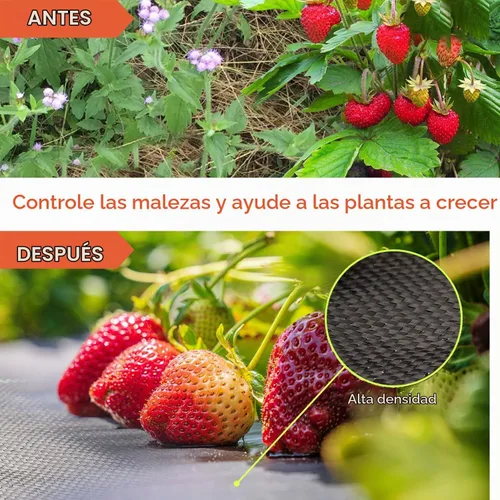 Vista 6 de Tela de barrera de malezas de 3 x 100 pies, resistente, alfombrilla de control de malezas de alta calidad de 3.2 onzas, cubierta de suelo