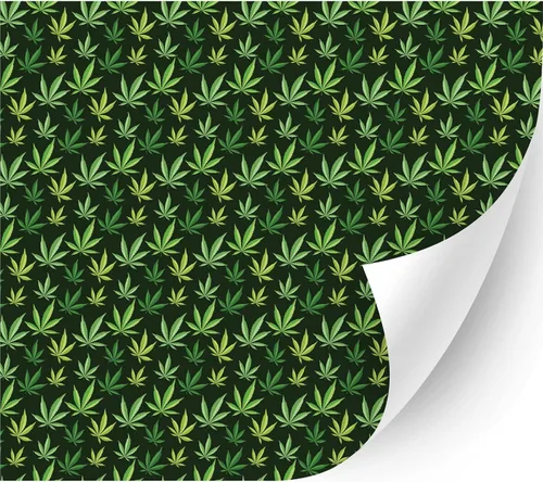 Vista 9 de 4/20Cannabis Orajet 3164 Vinilo adhesivo brillante (hojas coloridas de cannabis, 11 x 12 pulgadas) – Vidrio para automóvil, calcomanías