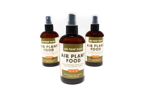 Vista 2 de Air Plants Fertilizante en botella de spray de niebla fina – Alimento vegetal para Tillandsia – Uso mensual para el crecimiento de plantas