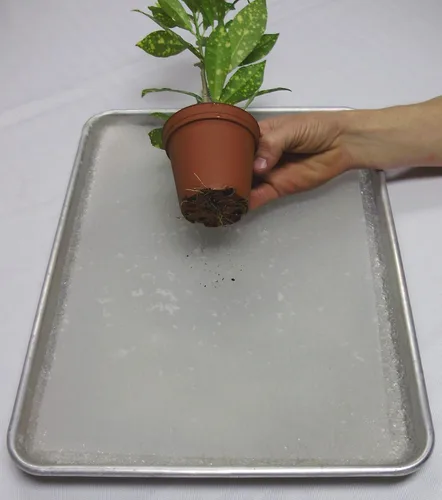 Vista 4 de Soil Moist Alfombrillas de riego para plantas en macetas de interior y exterior, 2