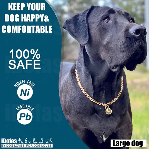 Vista 5 de Collar dorado para perro de 0.394 pulgadas, collar de cadena de acero inoxidable resistente para perros (10 pulgadas)