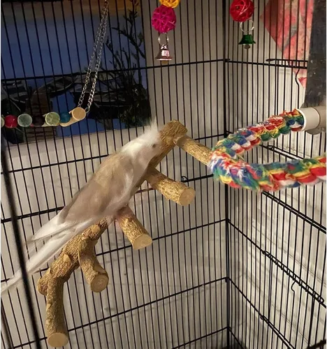 Vista 2 de Escalera de loro para pájaros, perca para jaula, puente de madera para pájaros, soportes para ejercicio, loro que escala, juguetes para masticar