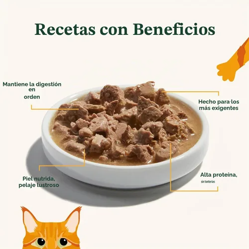 Vista 4 de Made by Nacho Receta de carne de res alimentada con pasto, con acabado de grano, cortes en salsa con caldo de hueso, comida para gatos, 3 onzas
