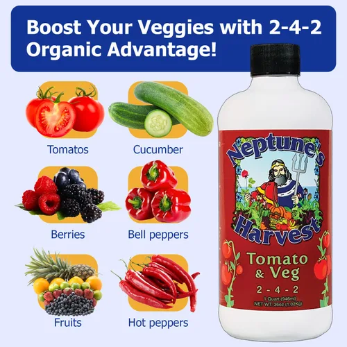 Vista 3 de Neptune's Harvest Fertilizante de fórmula de tomate y verduras TV136, 36 oz (Тwo Рack)