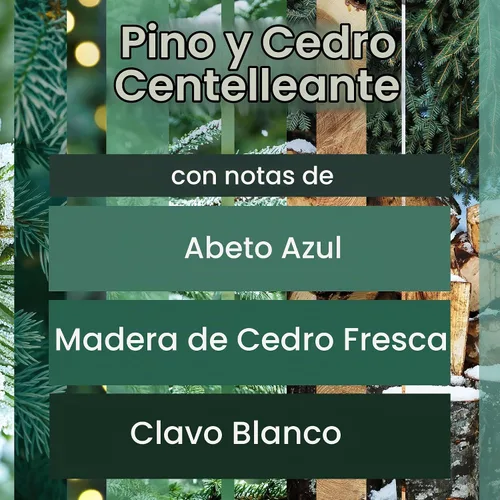 Vista 2 de Glade Twinkling Pine & Cedar - Vela de 3 mechas, 6.8 onzas, 3
