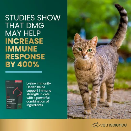 Vista 3 de VetriScience Gomitas de Lisina para la Salud de la Inmunidad, 250 mg de Lisina Plus Suplemento Inmunológico para Gatos y Gatito con Alergias