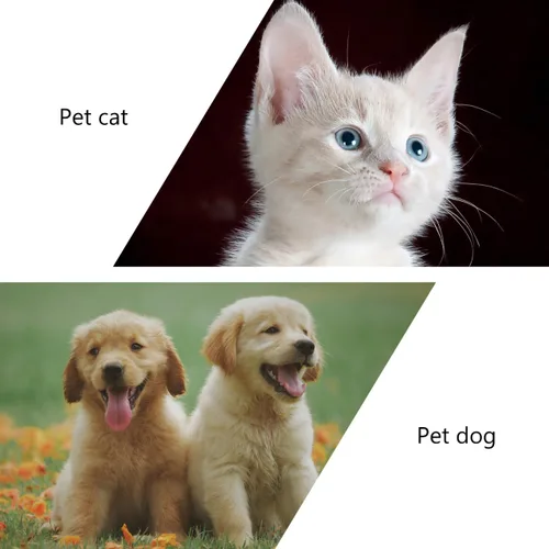 Vista 9 de Gorro de ducha impermeable para mascotas para gatos y perros, sombrero de baño flexible para cachorros con protección para los oídos, gorras