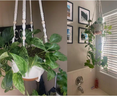 Vista 7 de Macetas colgantes de autorriego, juego de 2 colgadores de plantas de macramé bohemio, macetas colgantes con drenaje para interiores y exteriores