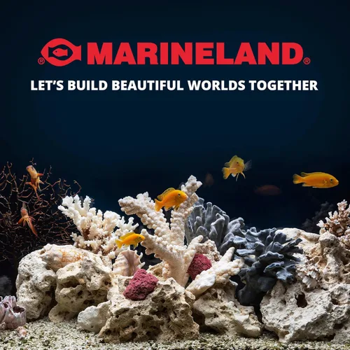 Vista 9 de Contenedor Marineland Magniflow.