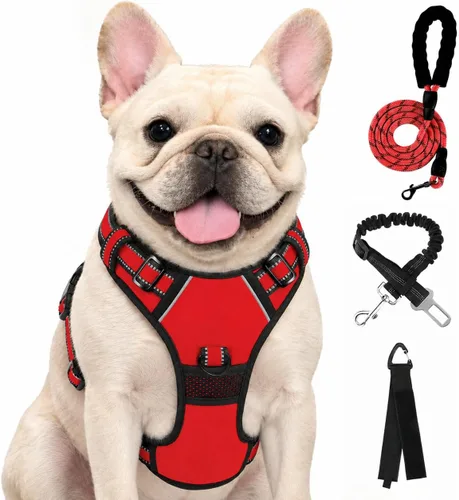 Vista 12 de FURRYFECTION - Arnés para perro a cuadros con correa y cinturón de Rosa