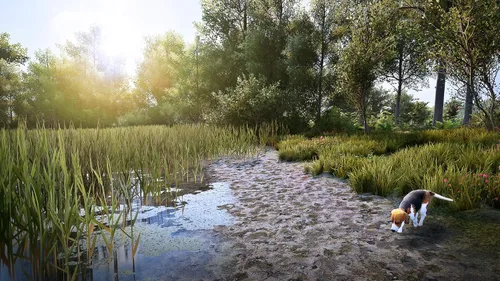 Vista 9 de Hunting Simulator 2 Nintendo Switch