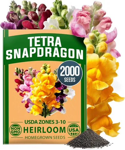Vista 60 de HOME GROWN Semillas de zinnia rosa – 300 zinnias Luminosa 0.5g, semillas anuales de flores fáciles de cultivar para plantar al aire libre para 2026