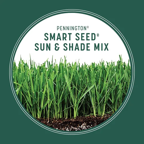 Vista 5 de Pennington Smart Seed - Mezcla de semillas para césped Sun and Shade 20 libras, Etiqueta Negra