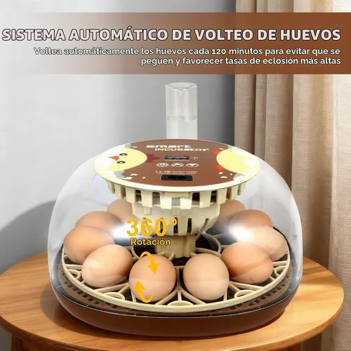 Vista 4 de Nest I - Incubadora de 12 huevos para principiantes, giro automático de huevos, humedad constante con botella de agua de recarga automática