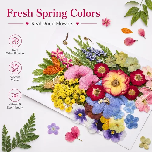 Vista 6 de Pressed Dried Flowers for Crafts, 50 Pcs Real Dried Flowers for Resin Romantic