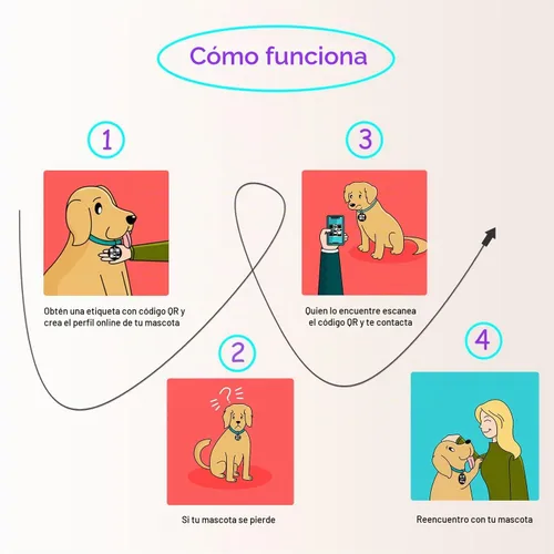 Vista 7 de Etiqueta para gatos con código QR, página de perfil en línea de mascota modificable, múltiples contactos de emergencia, silicona silenciosa, ligera
