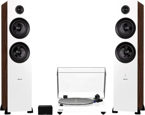 Vista 11 de Fluance RT85 Reference High Fidelity Vinyl Turntable, PA10 Phono Preamp and Ai81 Powered Floorstanding Speakers, Ortofon 2M Blue Cartridge, 150W