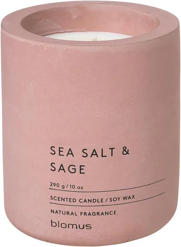 Vista 8 de Blomus Fraga Vela perfumada Withered Rose S, vela de cera de soja en aspecto concreto Rosa marchita