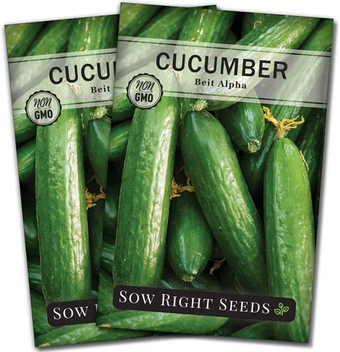 Vista 6 de Sow Right Seeds - Semillas de pepino Beit Alpha para plantar - Paquete de reliquia sin OMG con instrucciones para plantar y cultivar un huerto