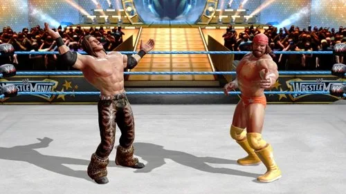 Vista 24 de WWE All Stars - Playstation 3