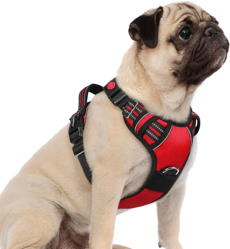 Vista 64 de Rabbitgoo - Arnés para perro de tamaño pequeño, sin tirones, 3 hebillas, fácil de poner y quitar Negro