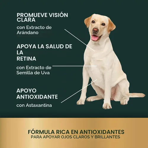 Vista 6 de VetriScience Eye & Vision Health Chews para perros, pollo, 60