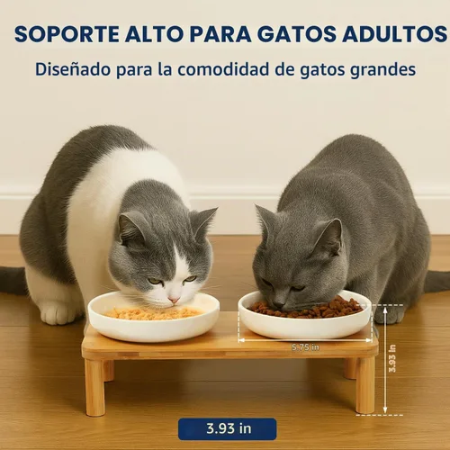 Vista 2 de DoogCat Cuencos elevados para gatos, soporte de bambú con 2 cuencos