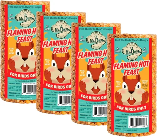 Vista 8 de Mr. Bird Flaming Hot Feast - Cilindro de semillas de pájaro picante, 1 paquete, 1 libra 3 onzas