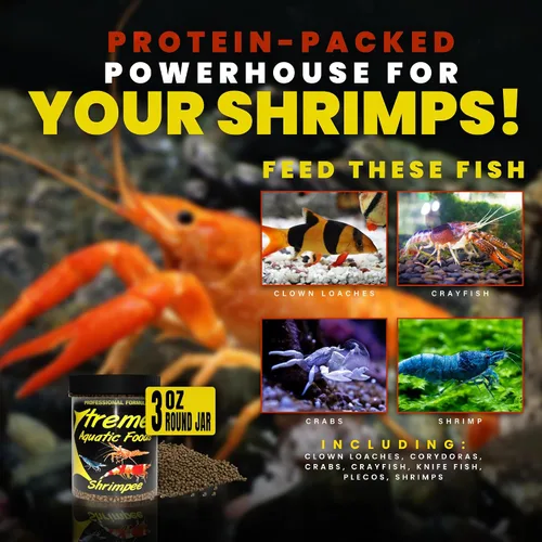 Vista 3 de Xtreme Shrimpee - Palitos de hundimiento de 0.118 pulgadas: alimento diario rico en nutrientes y alto contenido de vitaminas para camarones, corys