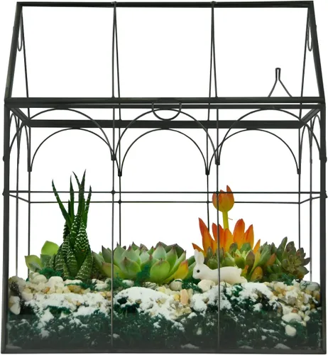 Vista 4 de Vidrio de terrario para invernadero de plantas grandes y altas con tapa, 8.7 x 5.9 x 10.6 pulgadas, kit de terrario de cactus suculentos