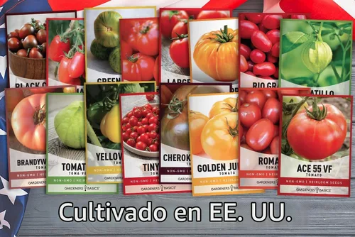 Vista 9 de Gardeners Basics, Semillas de tomate para plantar 16 semillas de tomate reliquia, Tiny Tim, semillas de tomate cherry, semillas de bistec, semillas