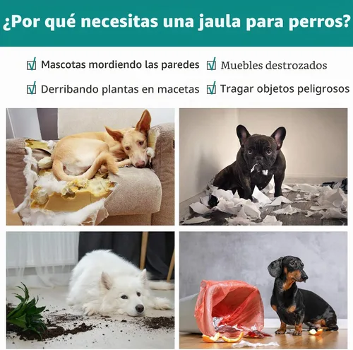 Vista 2 de Jaulas de 24 pulgadas para perros pequeños, 20 libras, jaula plegable para mascotas con bandeja de panel divisor, jaula de doble puerta para Negro