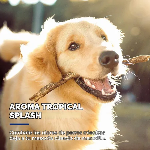 Vista 5 de Wet Ones Toallitas desodorizantes para perros para mascotas, salpicaduras