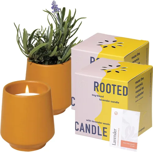 Vista 18 de Modern Sprout Maceta de vela de soja, crece albahaca, aroma a albahaca
