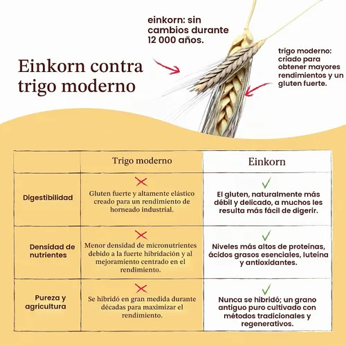 Vista 5 de Jovial Harina orgánica de trigo integral Einkorn, alta en proteínas, 32