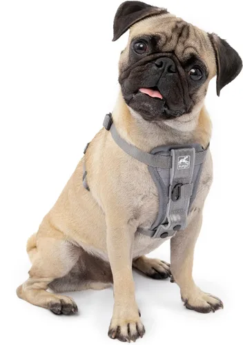 Vista 14 de Kurgo Tru-Fit - Arnés inteligente para caminar para perros, ajuste cómodo, arnés ajustable, reflectante para mascotas, liberación rápida