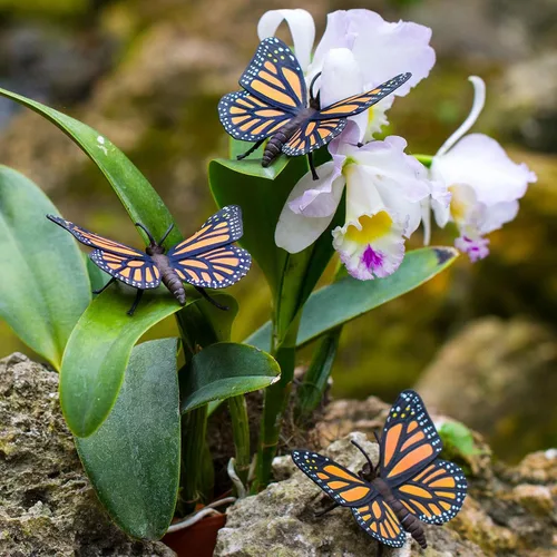 Vista 4 de Safari Ltd. Figura de mariposa monarca, figura realista de insectos de 4.5 pulgadas, juguete educativo para niños, niñas y niños a partir de 3 años