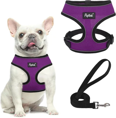 Vista 69 de PUPTECK Juego de arnés y correa de malla suave para perro, cachorro y gato, cómodo chaleco acolchado sin tirones, azul Pascua, S