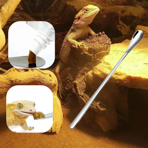 Vista 6 de Cuchara de comida para reptiles, accesorios duraderos para Gecko, polvo de reptil, mezcla de frutas, cuchara de alimentación de alimentos