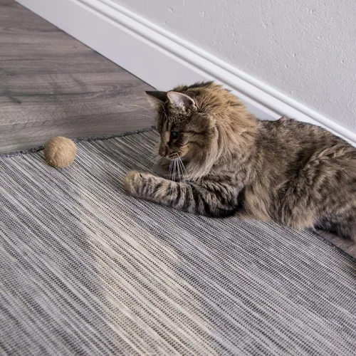 Vista 8 de SmartyKat Catnip - Juguetes para gatos