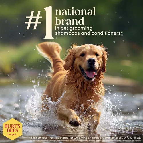 Vista 7 de Burt's Bees for Pets Champú desodorante para perros, manzana y romero, 16 onzas líquidas