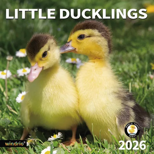 Vista 10 de Calendario de Pared 2026, Calendario 2026, Noviembre 2025 - Diciembre 2026, Calendario de Pared de Animales Bebés, 12" x 24" Abierto, Meses
