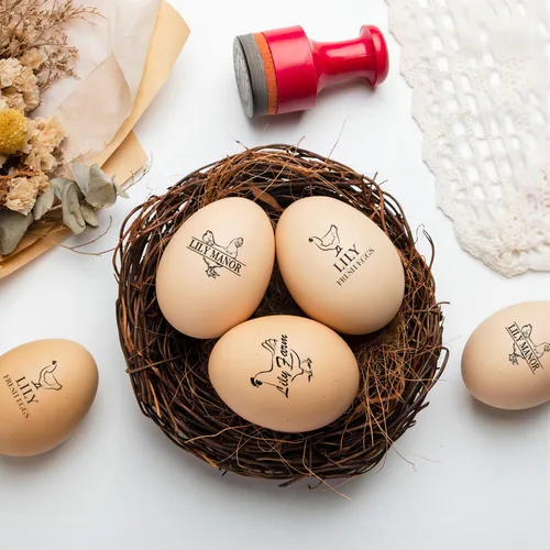 Vista 9 de Sellos de huevos personalizados para huevos frescos, sello de pollo de goma pertsonalizado con tu propio diseño, marcado para huevos frescos