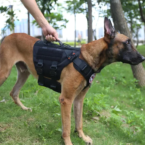 Vista 3 de ICEFANG GN3 - Arnés táctico para perros con 6 hebillas, chaleco Molle para perro con asa, cobertura de 3/4 del cuerpo, panel de gancho y bucle